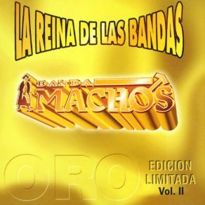 La Reina De Las Bandas Vol. II album cover