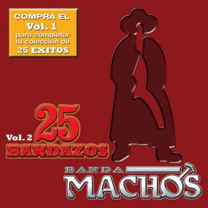 25 Bandazos De Machos (Vol. 2) (USA) album cover