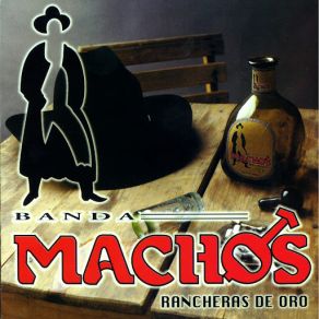 Rancheras De Oro album cover