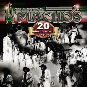 20 Años De Exitos En Vivo album cover