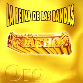 La Reina De Las Bandas Vol. I album cover