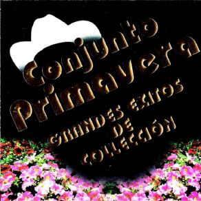 Grandes Exitos De Coleccion album cover