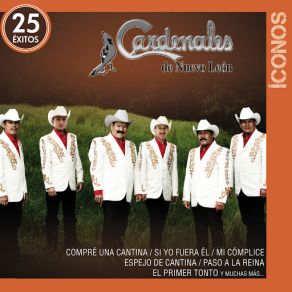 Íconos 25 Éxitos (CD1) album cover