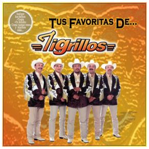 Tus Favorita De... album cover