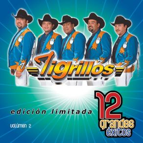 12 Grandes Exitos Vol. 1 album cover
