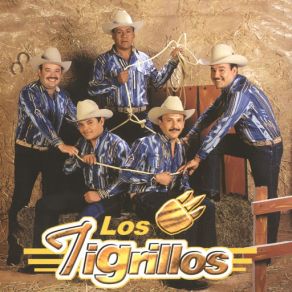 Los Tigrillos album cover