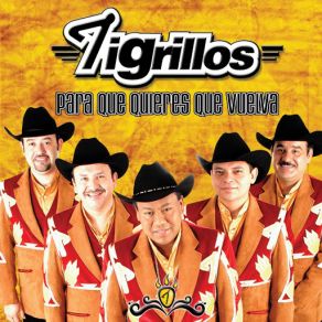 Para Que Quieres Que Vuelva album cover