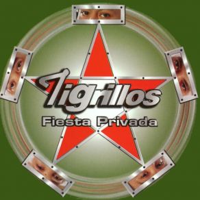 Fiesta Privada album cover