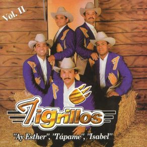 Los Tigrillos Vol. II album cover
