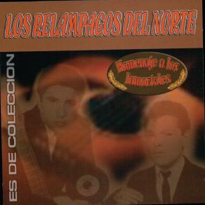 Homenaje A Los Inmortales album cover