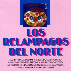 Eso Si Nunca Podras album cover