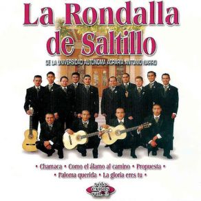 Sólo Éxitos, Vol. 2 album cover