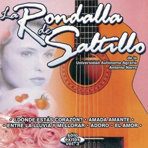 Sólo Éxitos, Vol. 3 album cover