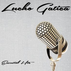 Essential Hits album cover