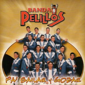 Pa Bailar Y Gozar album cover