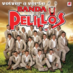 Volver A Verte album cover