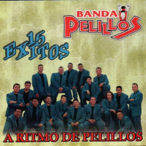 15 Exitos album cover