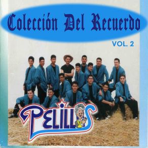 Colección Del Recuerdo, Vol. 2 album cover