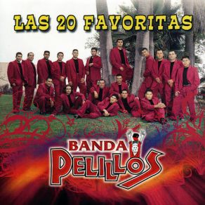 Las 20 Favoritas album cover