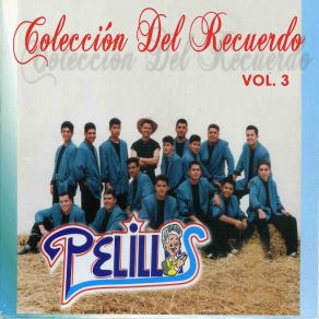 Colección Del Recuerdo, Vol. 3 album cover