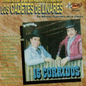 Homenaje A Mi Hermano Homero album cover