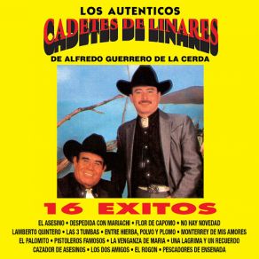 Los Auténticos album cover
