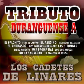 Tributo Duranguense album cover