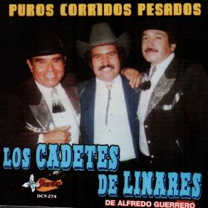 Puros Corridos Pesados album cover