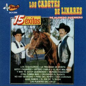 15 Exitos album cover
