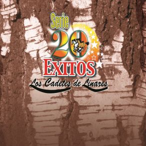 Serie 20 Exitos album cover