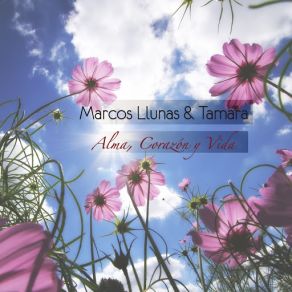 Alma, Corazón Y Vida (Single) album cover