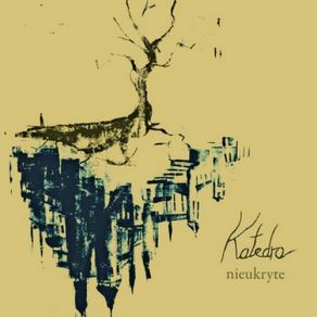 Nieukryte album cover