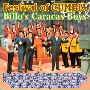 Festival Of Cumbia album cover