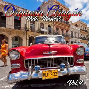 Vida Musical, Vol. 4 album cover