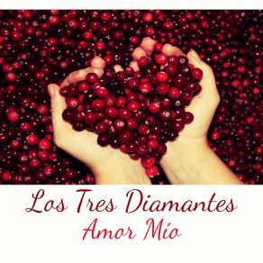 Amor Mío (Single) album cover