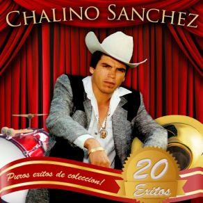 Puros Exitos De Coleccion album cover