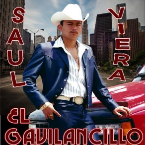 20 Exitos Inmortals album cover