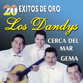 20 Éxitos De Oro album cover