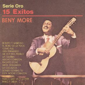 Serie Oro 15 Éxitos album cover