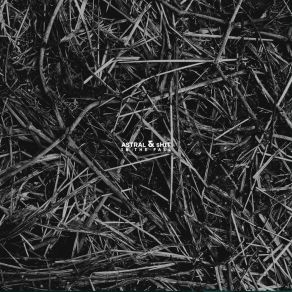 In The Fall album cover