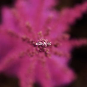 Magnesium Sulfate album cover