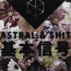 Basic Signals album cover