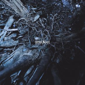 Biopsyhoz album cover