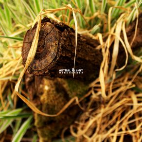 Windrunner album cover