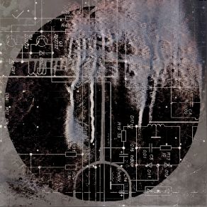 Maculis album cover