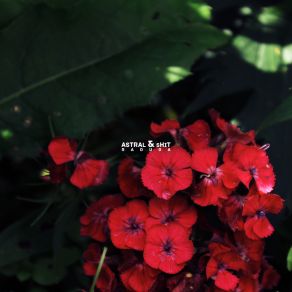 Raduga album cover