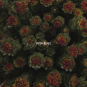 Sub Ēсhō album cover