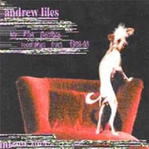 My Pink Derriere album cover