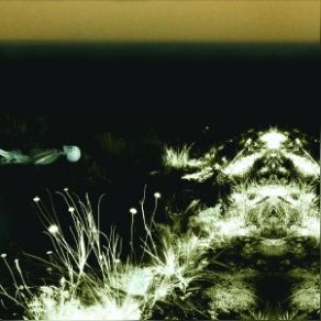 Ohrwurm album cover