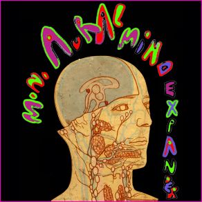 Mono Aural Mind Expander album cover
